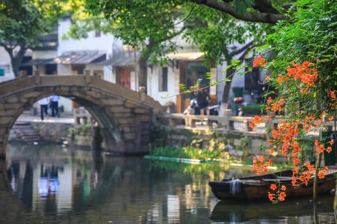 全民剧本大师内置菜单